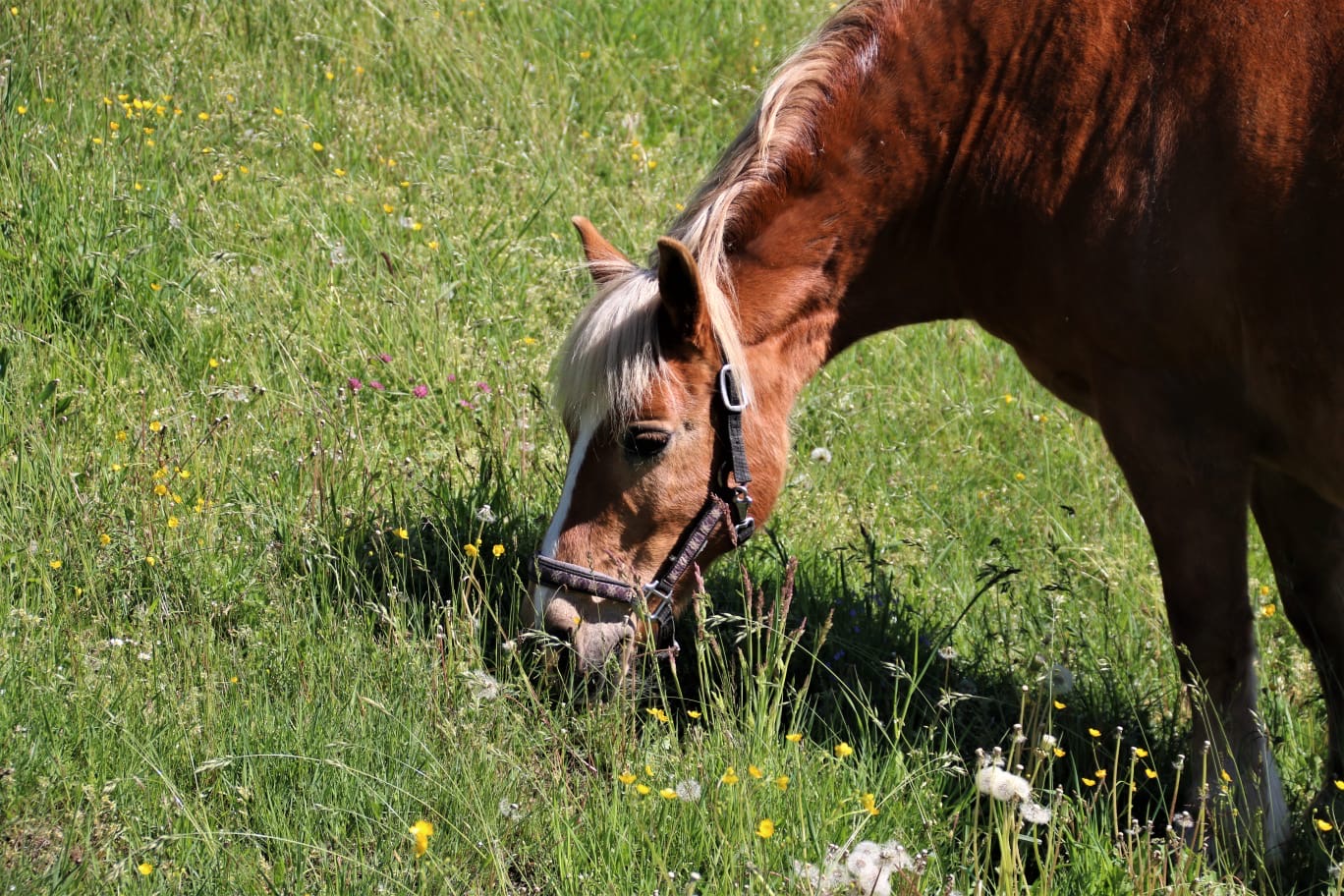 a3a74a46-10e9-4faa-9790-767476f24fe6