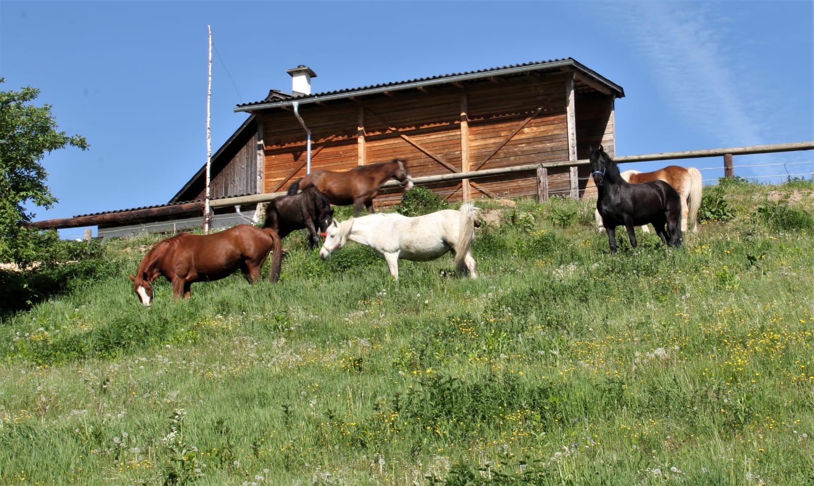 a3ea2bb5-b78a-4313-80d7-4d95aad70ca6