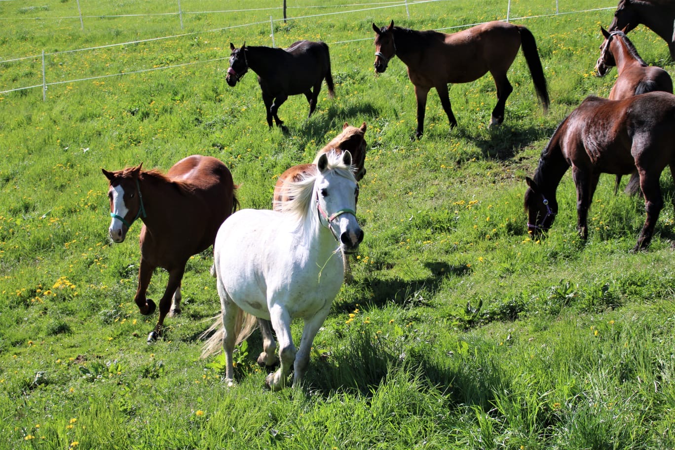 a52bcf3b-799a-4ecf-9f6e-62248e6b1d42