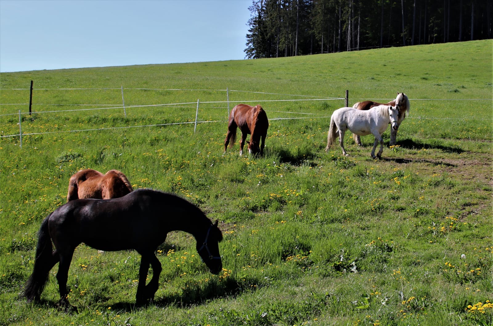 a607823b-854b-414e-911f-a89b1248ba7f