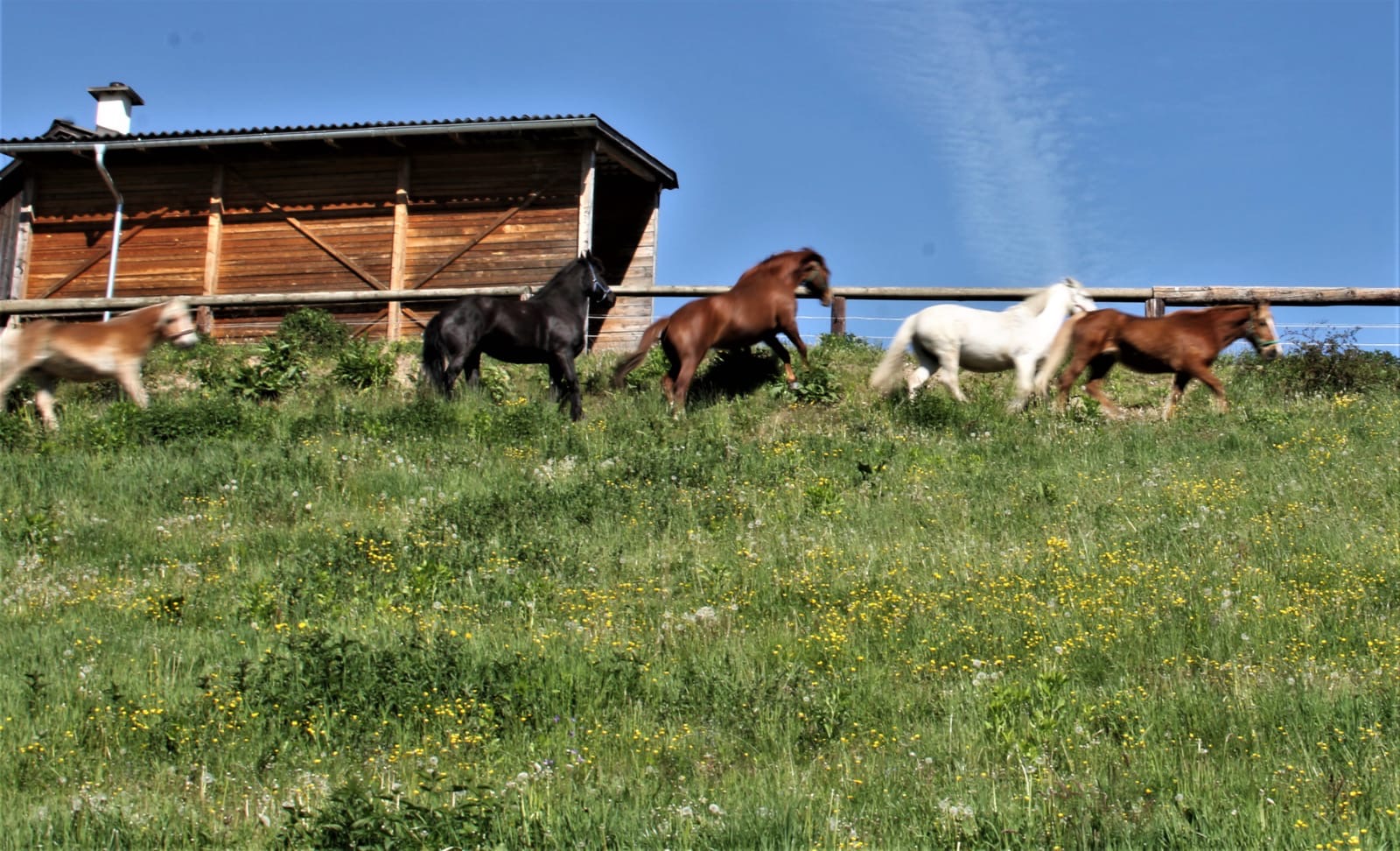 a6e45588-6ce7-4546-b71a-6773bc28fad6