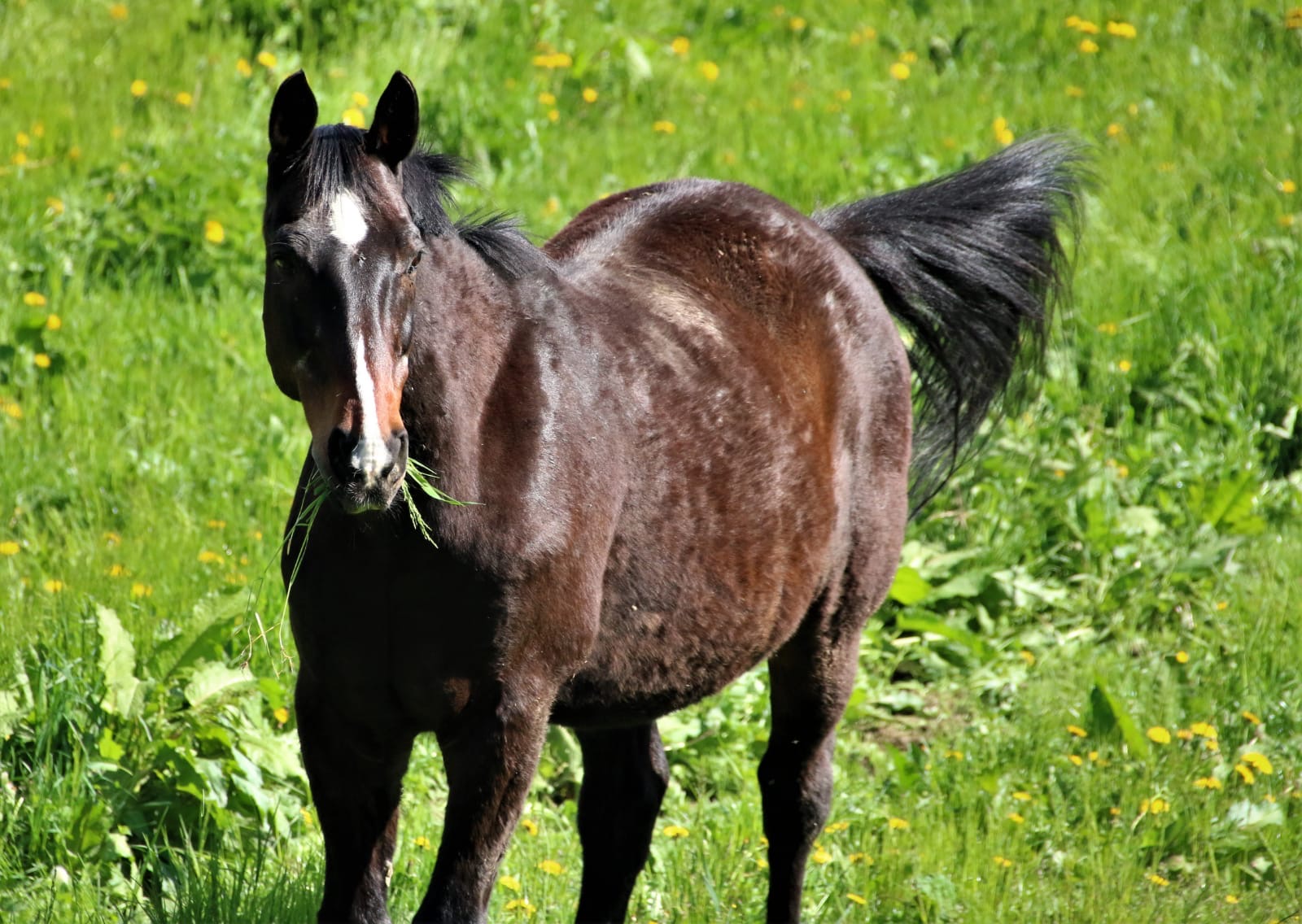 a72e30eb-6e0b-4044-ae96-89276a84a901