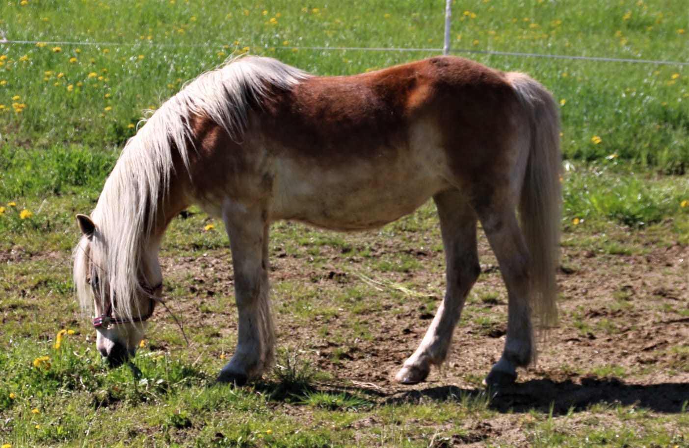 a9e8d5f6-7f5b-4ad2-af12-b15a25572355