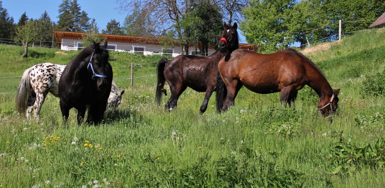 aa1319c9-1f3a-494e-95ee-8f6da5fe3cd8