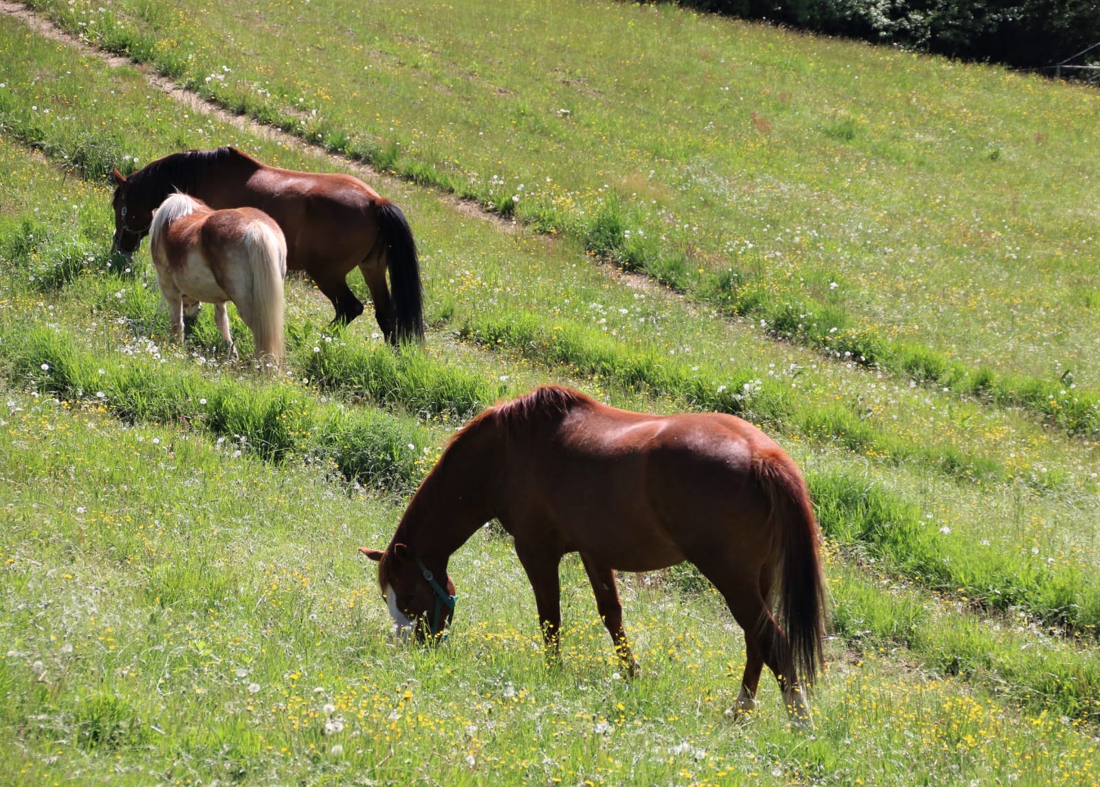 af962c4b-08c8-4686-966a-d1bb81ce1c0a