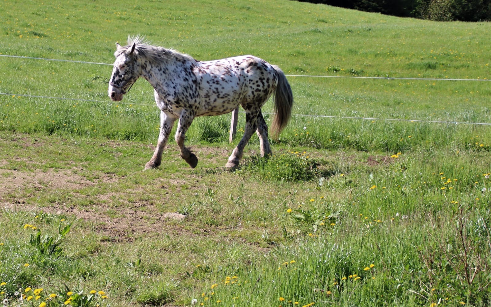 b60df2bc-510a-4a92-842a-794043daf8ed