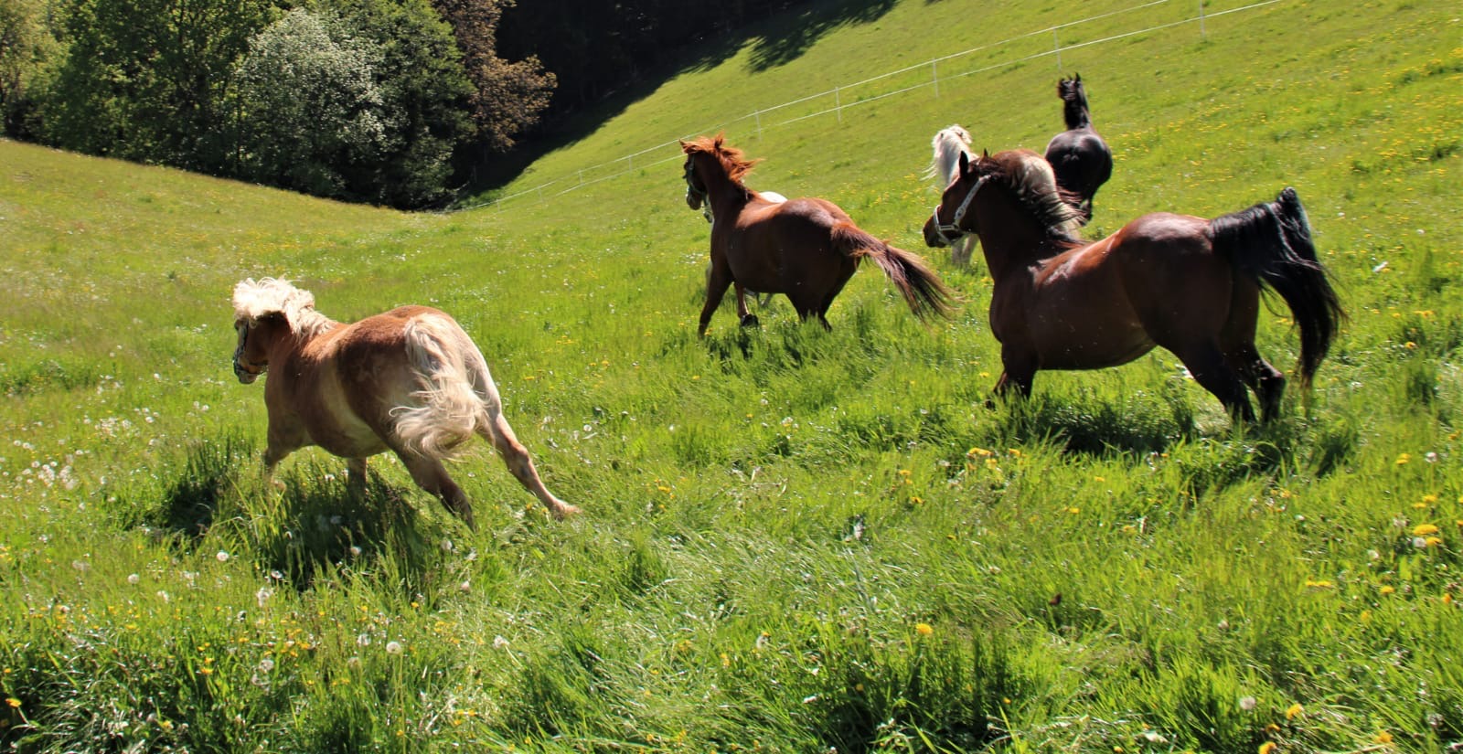 b69c8df6-a147-48f1-98ec-45ef58334023