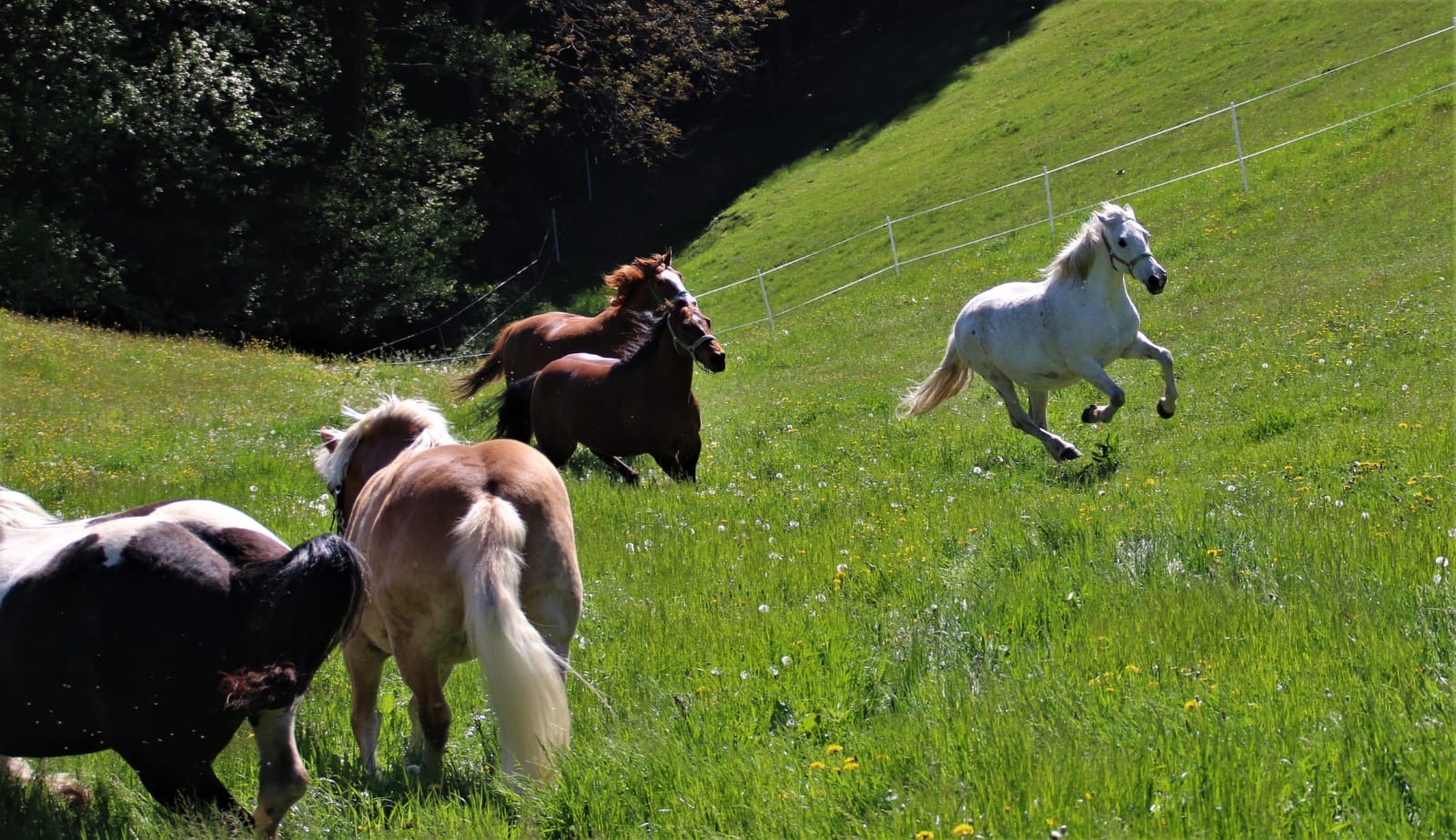 baedb060-083a-49ac-a3c0-56a53291b926