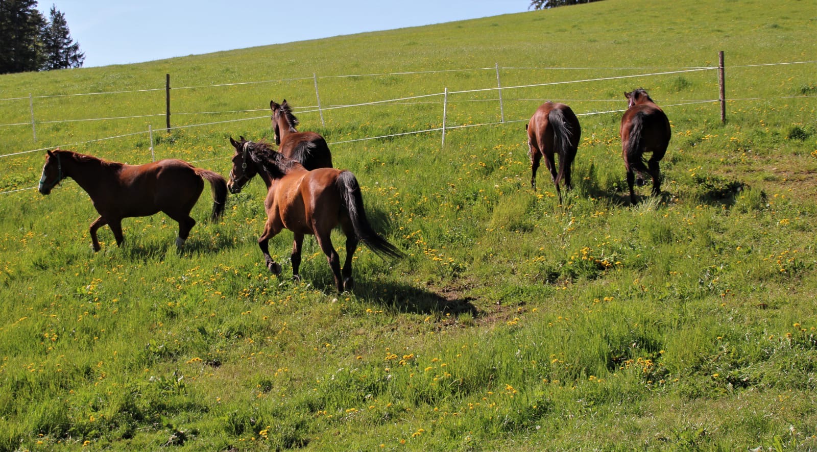 c0b24a06-3962-4e90-b935-e9c22c807bb1