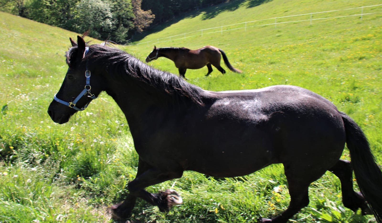 c5ad48ef-a5eb-41b1-b20a-3cd4d2c96414