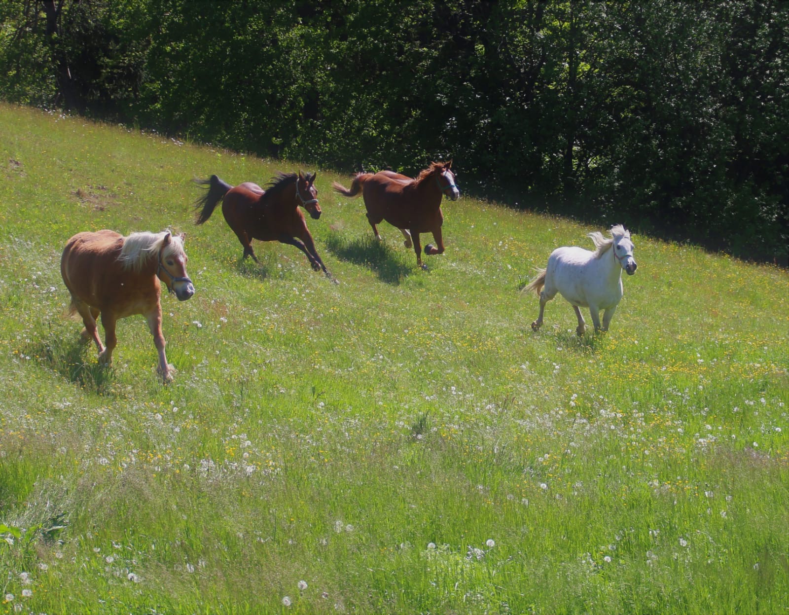 c5aec76f-8050-4f72-b7eb-ad4214e90847