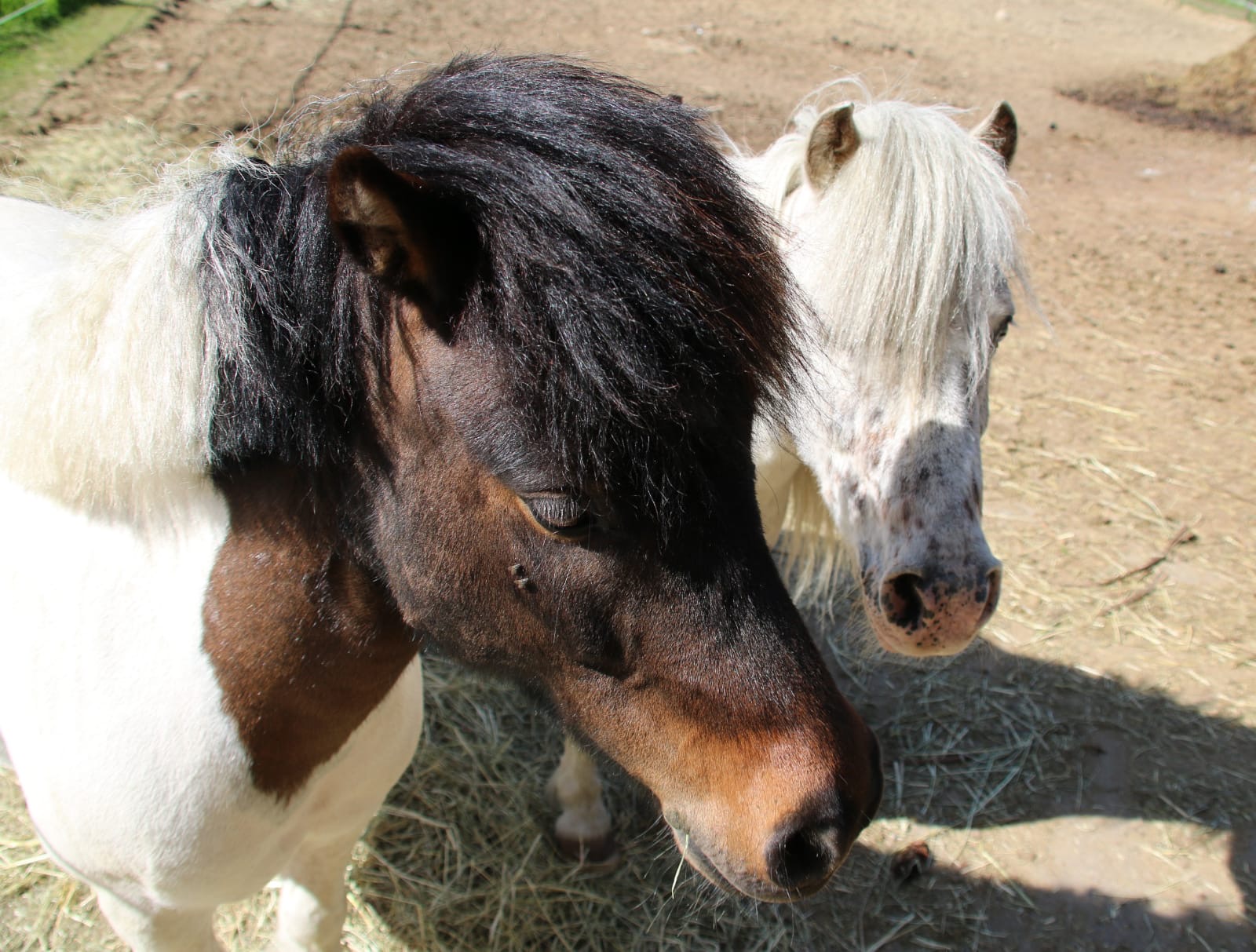 c93ba70d-6d3c-4e36-abc7-ce73325e280a