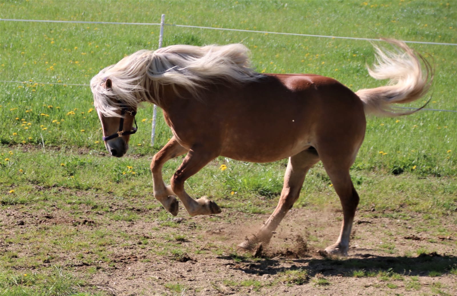 ce3b32a3-6a27-4cc1-b29f-daf94c5d7b5b