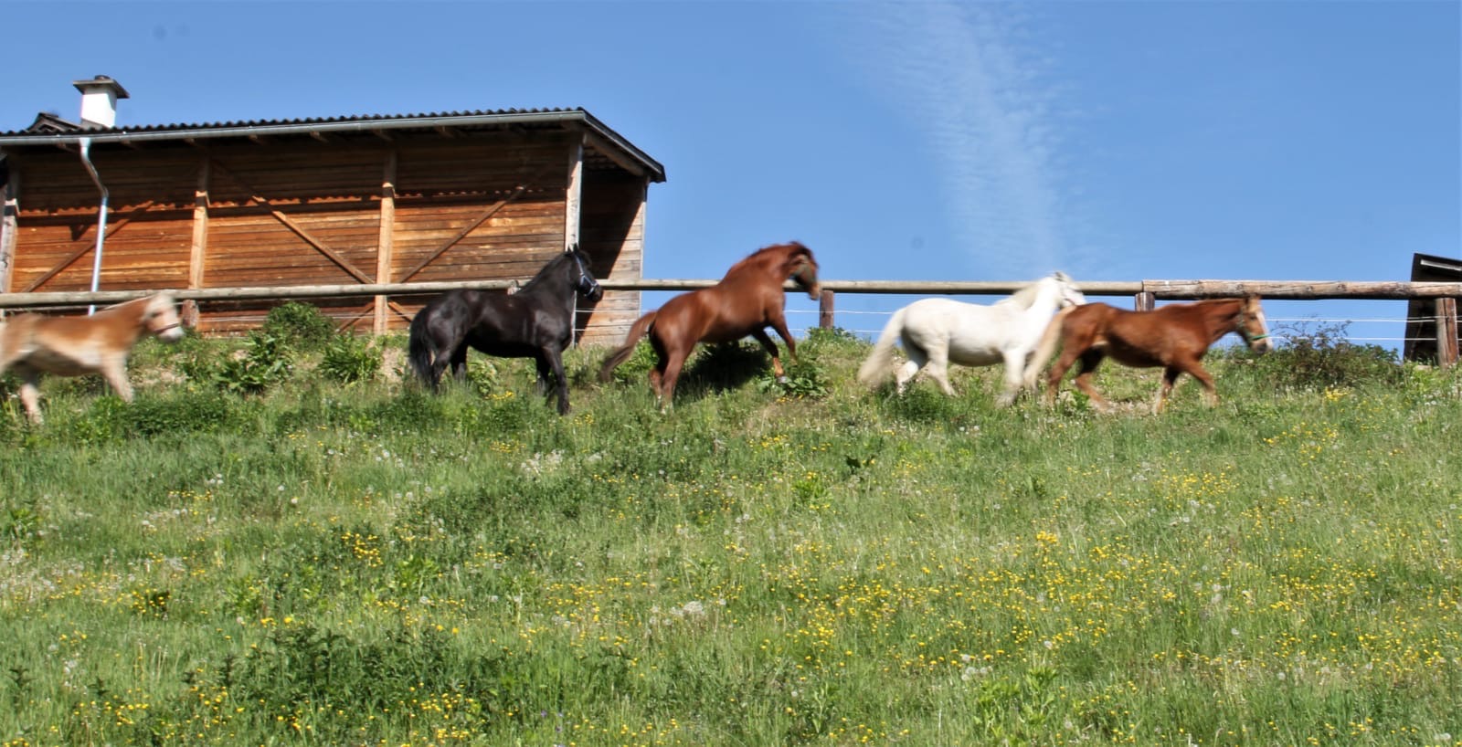 d36184ff-bc0b-43ba-be60-740579418ba8