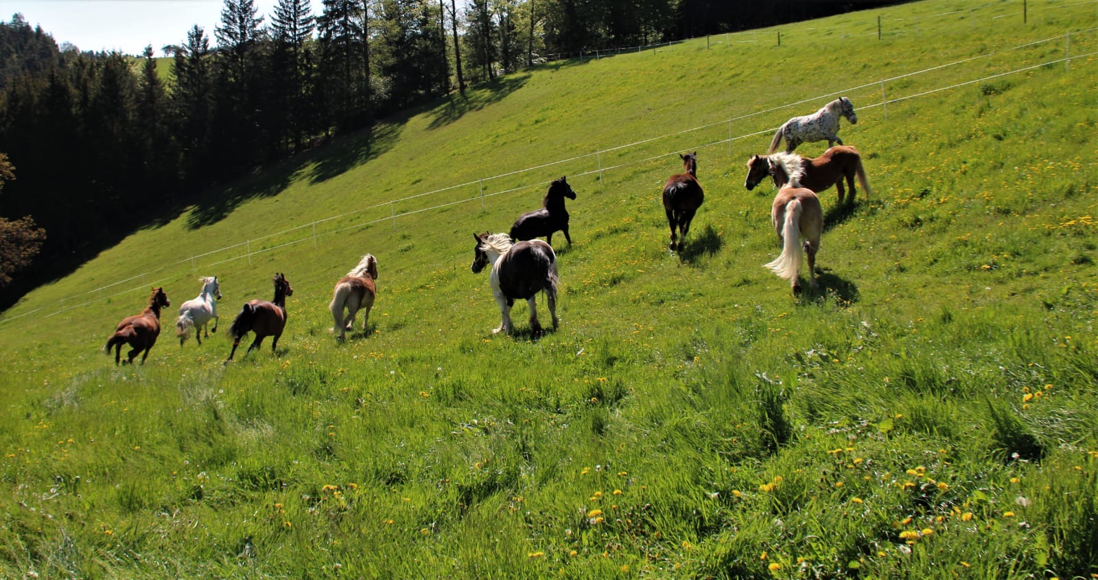 d3c574e9-8703-4e5c-9a55-ed5ce6685b97