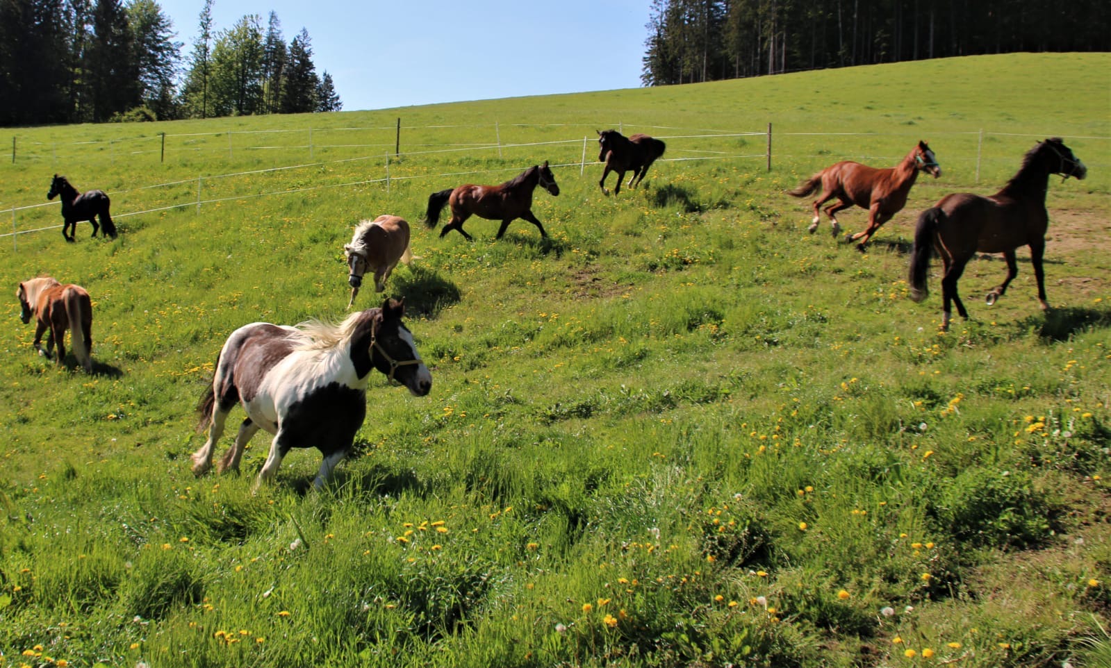 dab90ab7-51d3-4be4-b347-c124e2a7a1a2