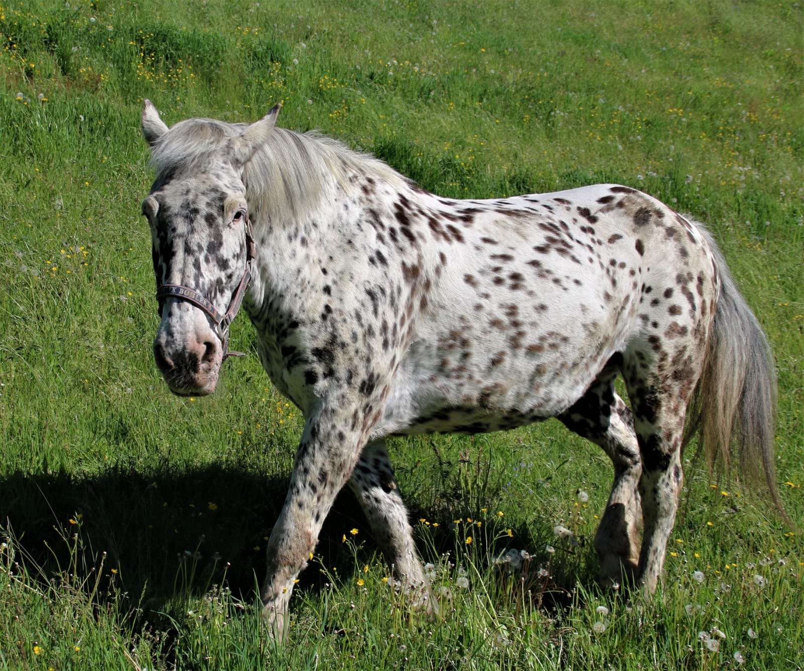 dc15fe0d-2bb8-4d89-82b9-5a4205f611ec