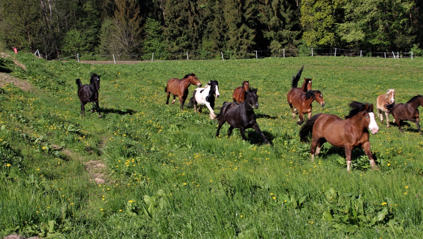 dddf3508-3396-4204-838e-f4cbbc4befb2