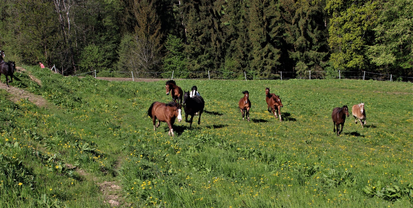 df056b00-a361-4e43-b69d-26eb21528ae3