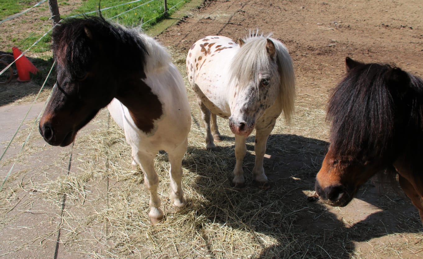 df138d43-7ccd-4d1c-8098-a6caa751720d