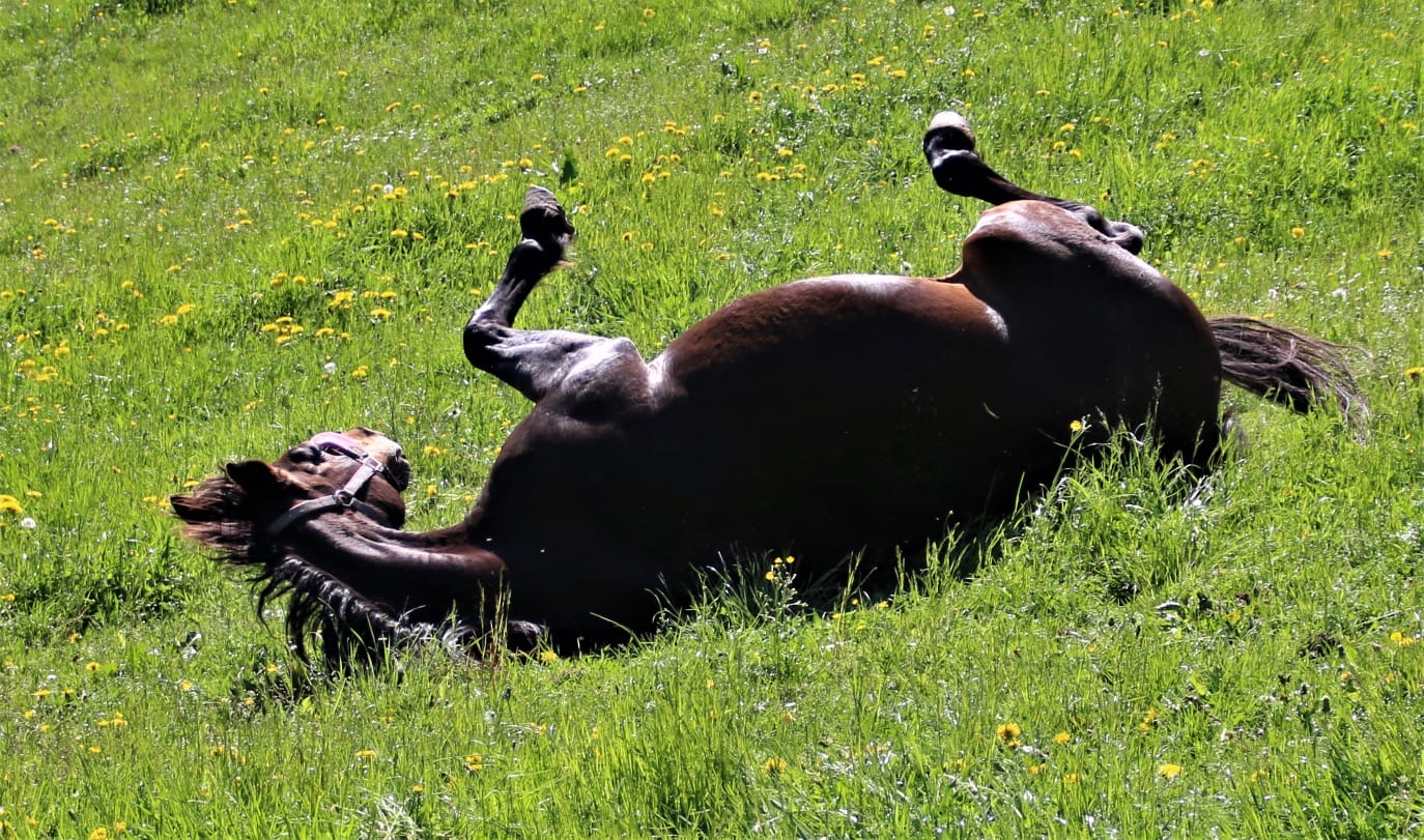 e26bff52-3cb9-4881-a417-21d751a4daae