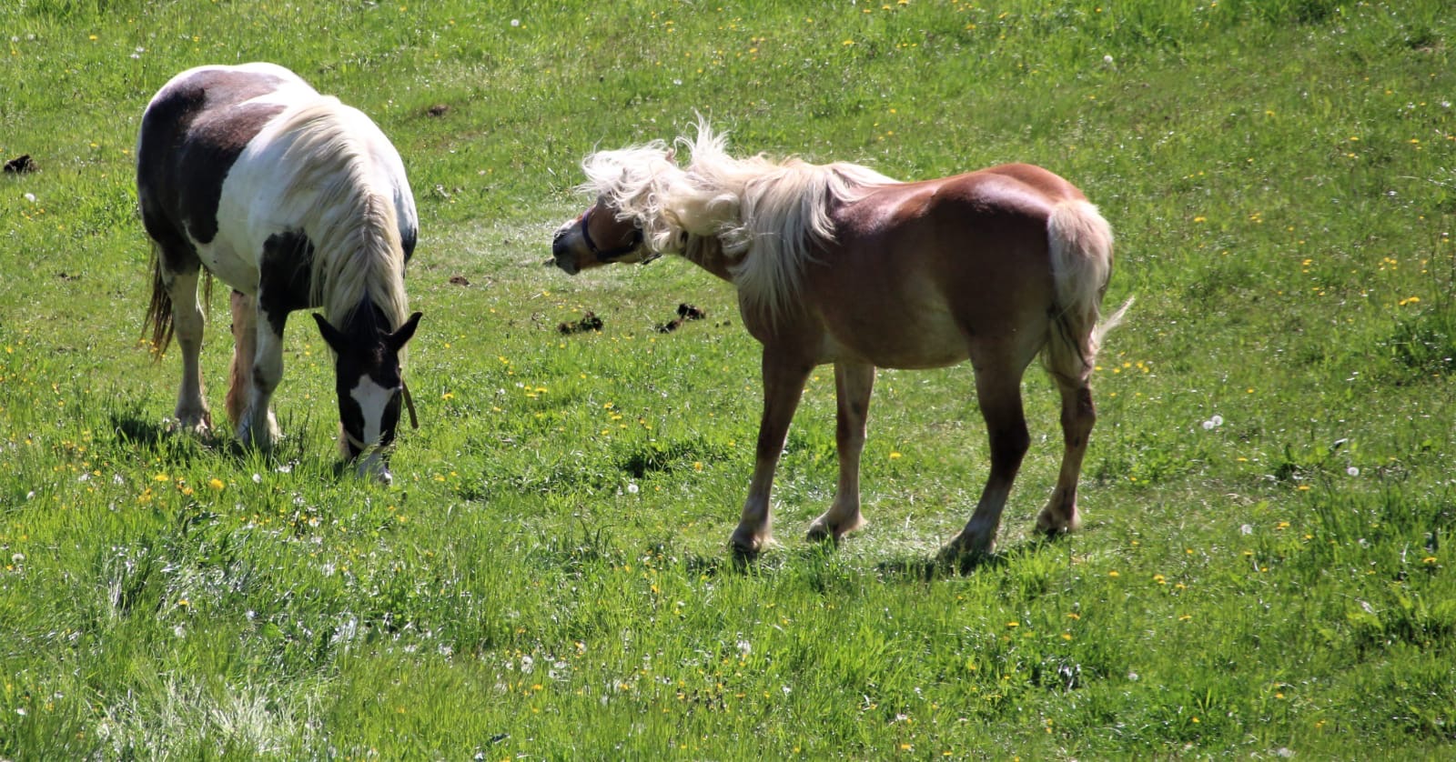 e45e7e6d-d896-43be-b809-57059c5288bb