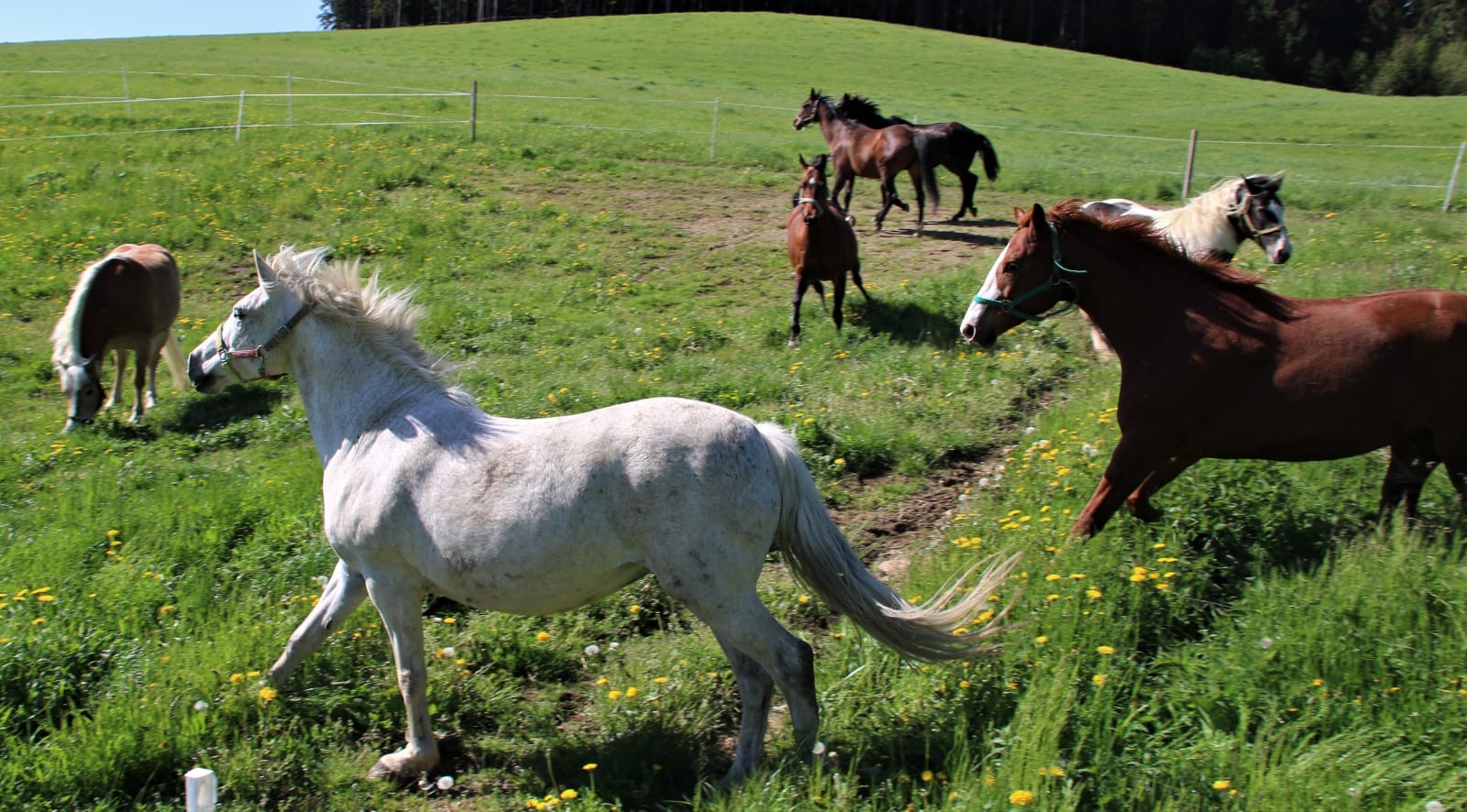 f24cce9b-2347-4177-bb2f-c4ea213b7ac9