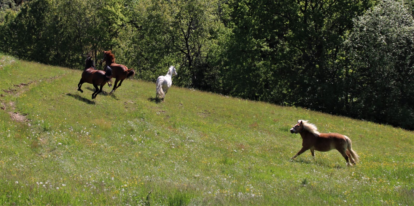 f65d2c60-9d0d-4506-8d03-b96d2c837503