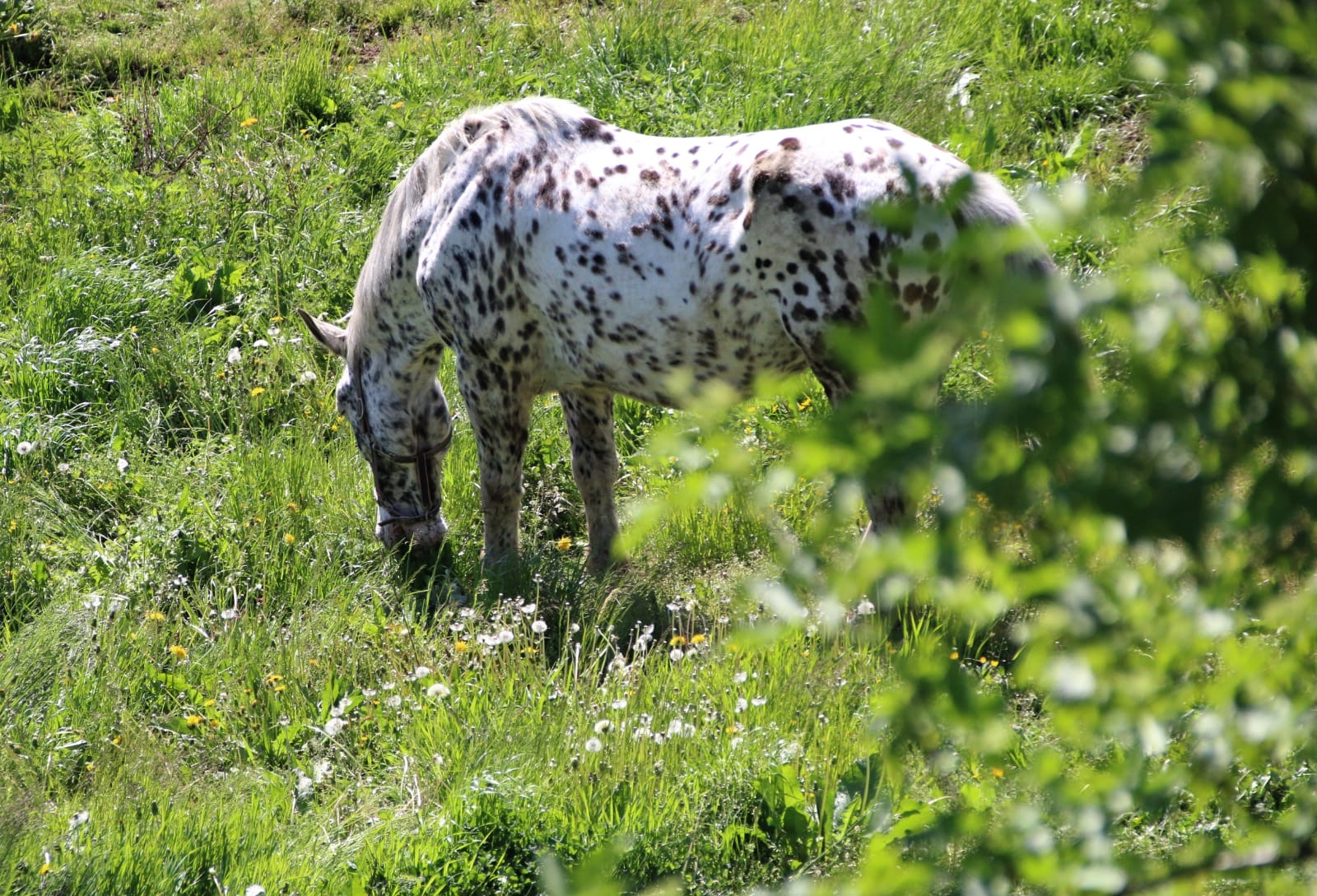 fbe8680e-9205-47c1-b8c0-8a375f7fefc3