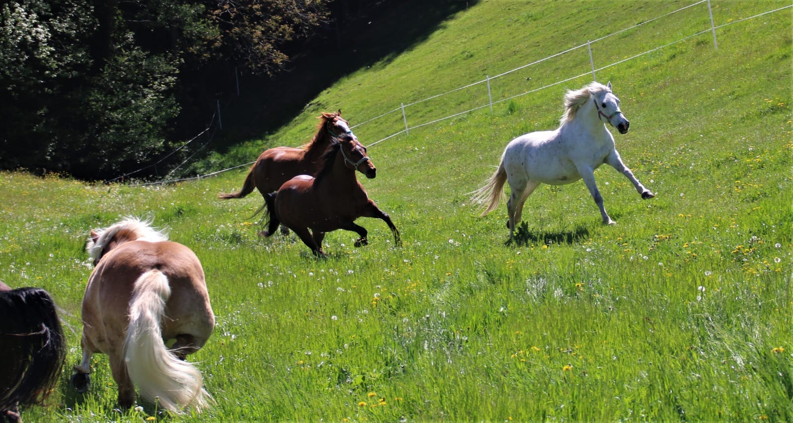 fd4a2f97-83c9-4b42-9016-c0a8728f5a1a