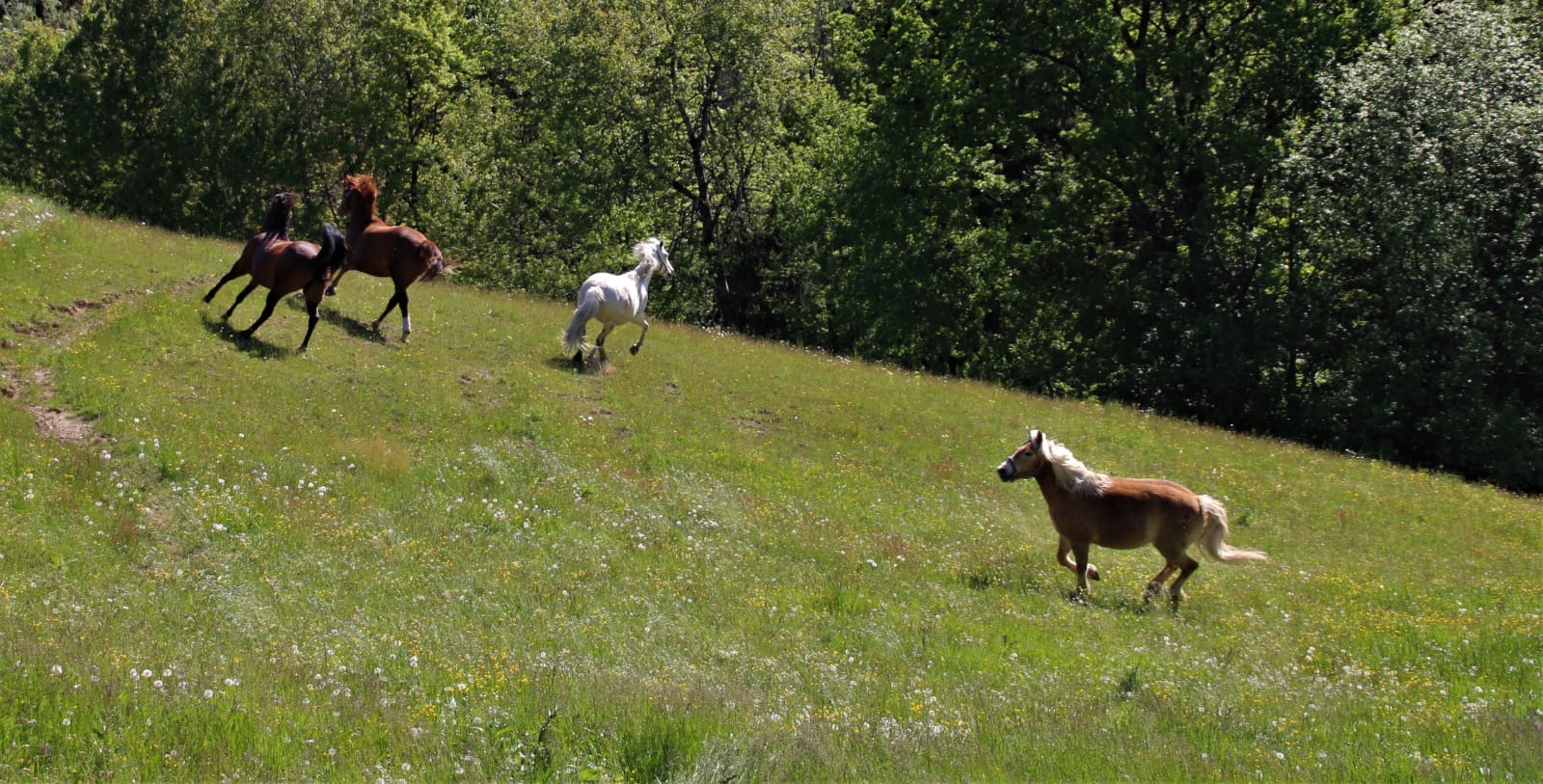 fd51db30-3697-4959-88ce-bc8483e9a992